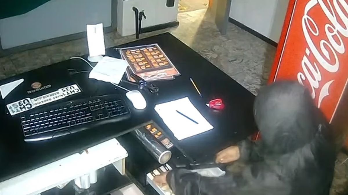 En menos de un minuto, robaron una hamburguesería de Santa Lucía y se llevaron dinero y un celular