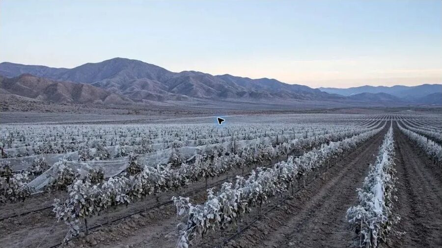 Las heladas alcanzan 16.000 hectáreas y ya motivaron más de mil denuncias