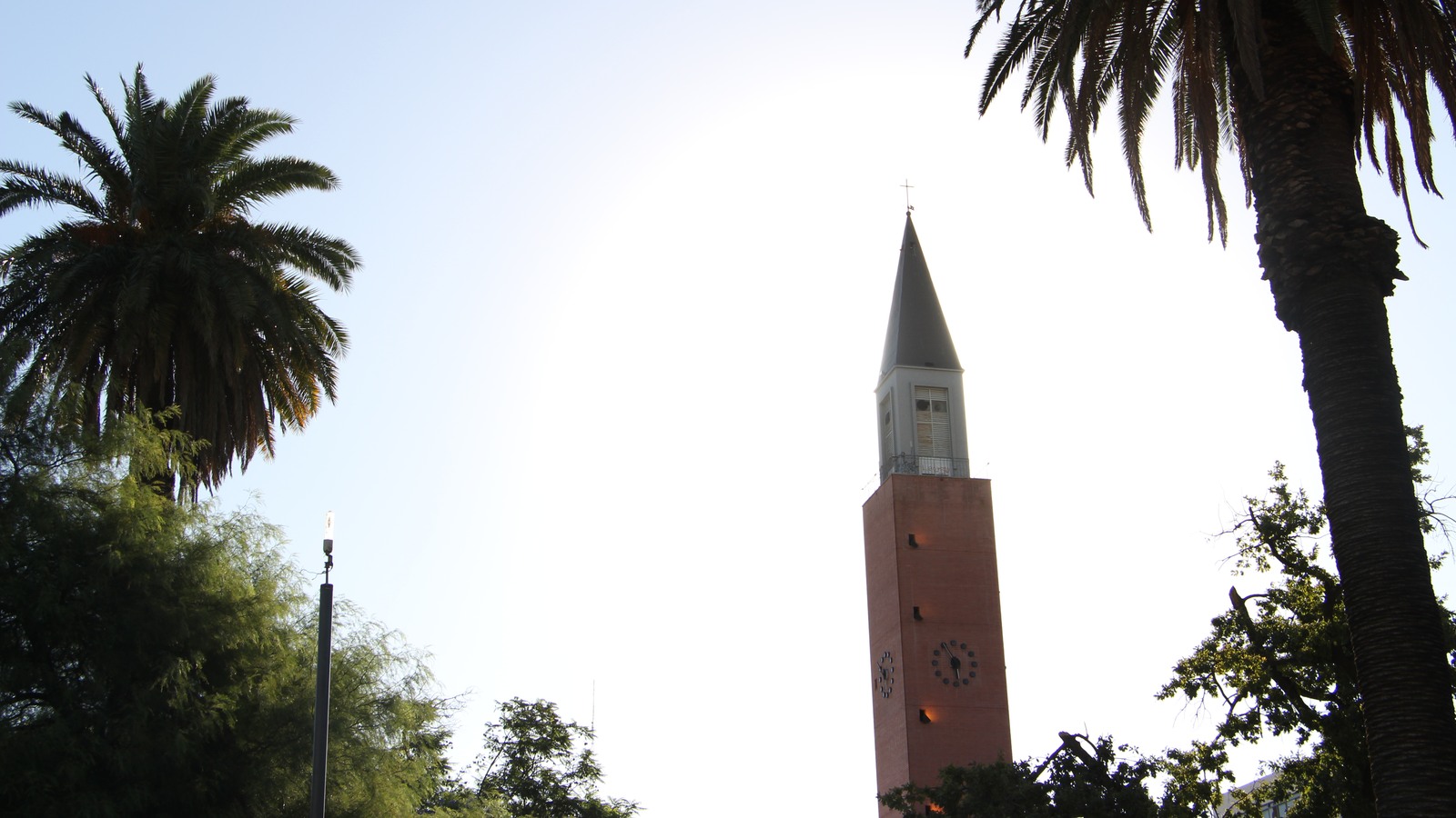Campanil de la Catedral de San Juan y palmeras de la Plaza 25 de Mayo. Fotografía de archivo de marzo de 2017.