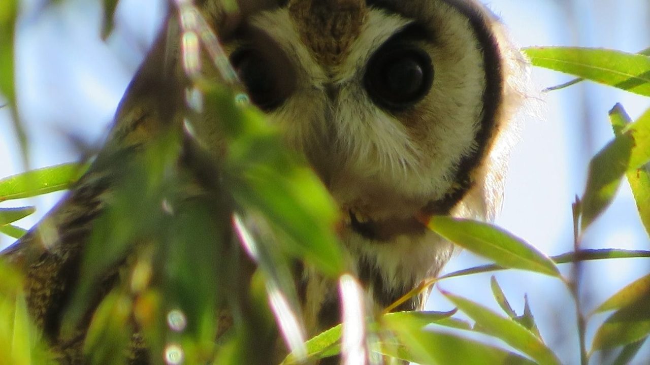 Lanzan concurso de fotos por los 46 años del Parque Sarmiento