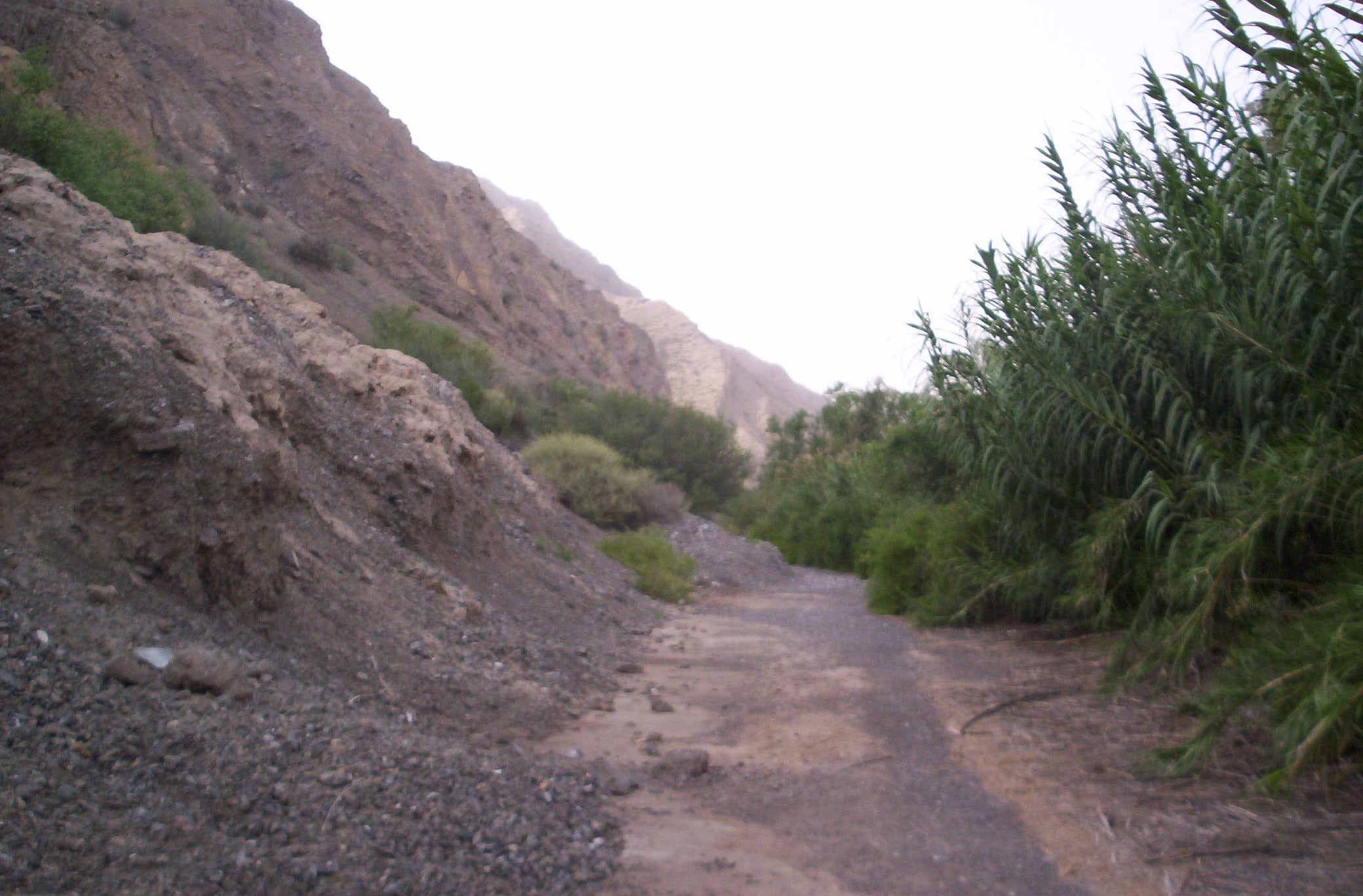 Sendero con rocas y vegetación en la reserva Sarmiento de Zonda; fotografía de archivo.