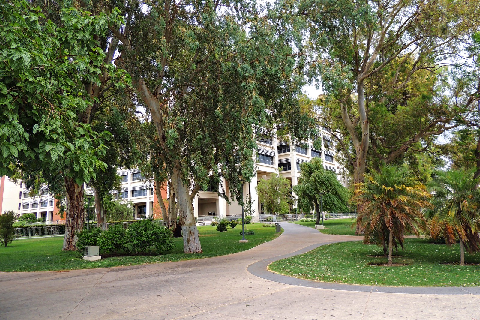 Centro Cívico de San Juan, donde funciona la Dirección de Empleo y Formación que administra el programa. Archivo del 25 de noviembre de 2013; no muestra la sede de las clases en Chimbas.