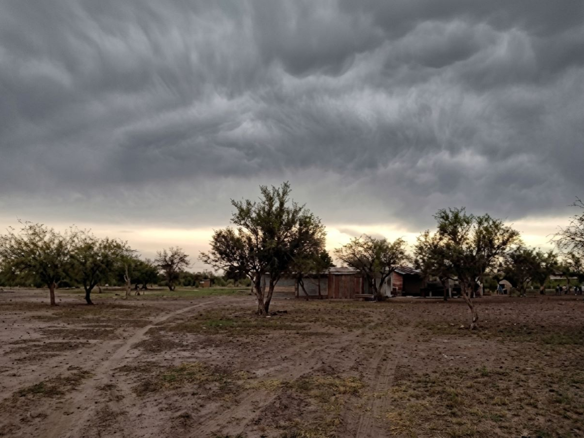 Paisaje rural de El Encón difundido por el Equipo de Extensión de la UNSJ para el proyecto Susurros de Sol, Arena y Acequia.