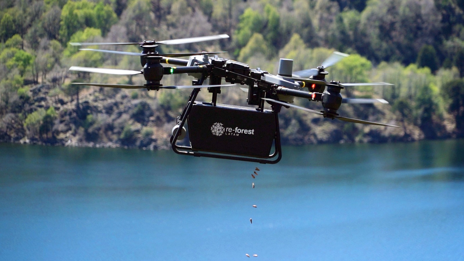 Dron de ReForest Latam dispersando semillas en una fotografía del ensayo de restauración del Parque Nacional Lanín, difundida por Parques Nacionales el 20 de octubre de 2026.