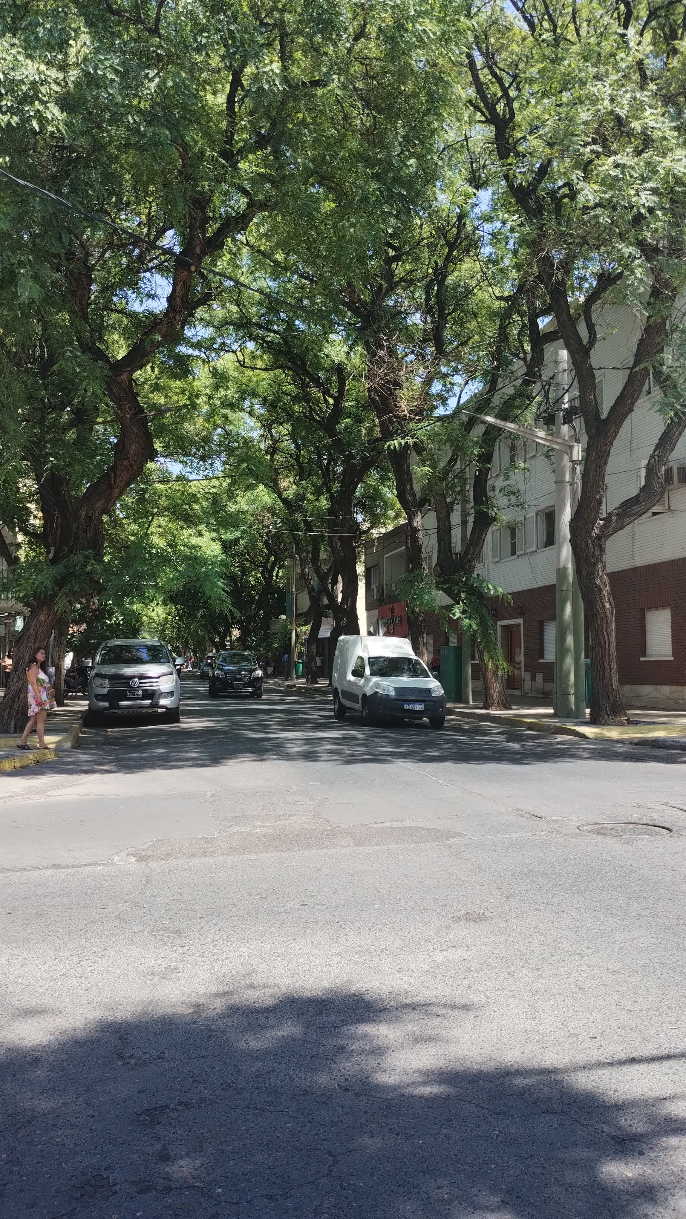 Vista de archivo de calle Laprida, ciudad de San Juan, tomada el 2024-02-06. No muestra Capital Sale 2026 ni acredita adhesión de los locales que aparecen.
