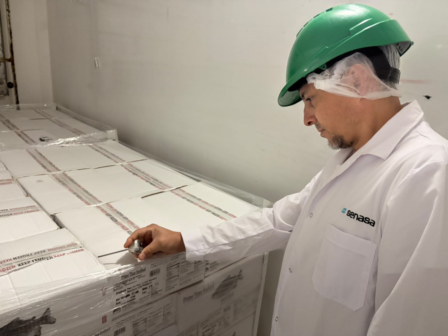 Personal del SENASA controla una carga embalada de pacú en la operación difundida el 14 de octubre de 2026.