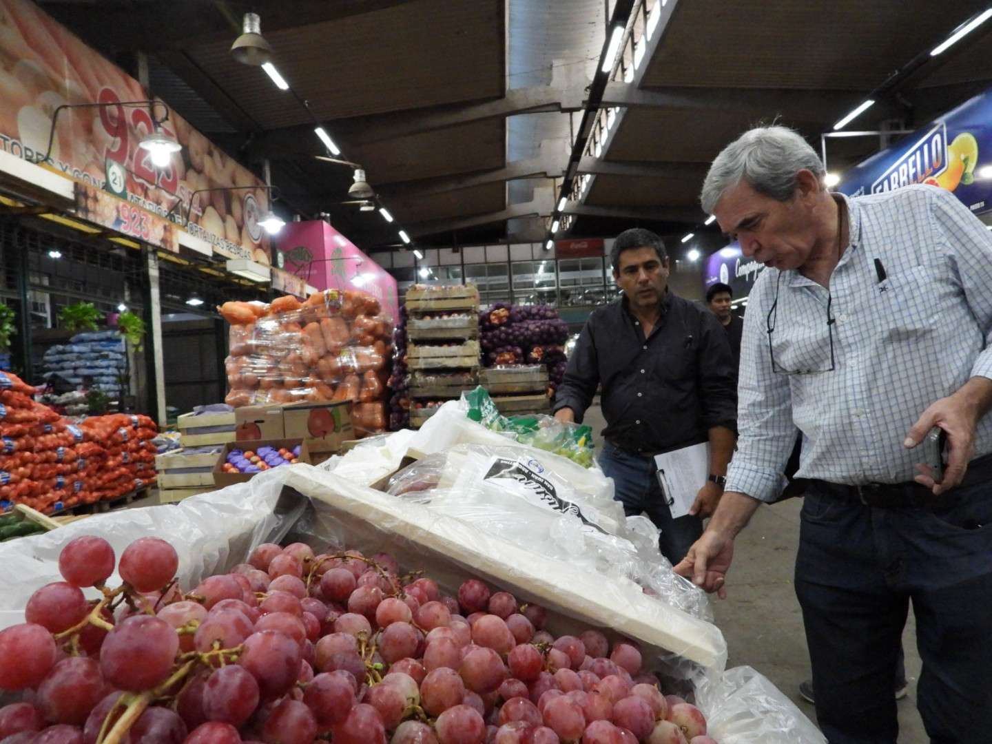 Personal del Senasa inspecciona uvas en puestos mayoristas del Mercado Central de Buenos Aires. Archivo publicado el 21 de marzo de 2024; no corresponde al relevamiento de precios de septiembre de 2026.