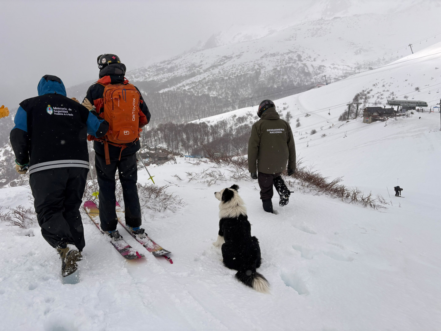 Un perro y personal de fuerzas de seguridad durante la capacitación sobre terreno nevado en el Cerro Catedral, Río Negro.