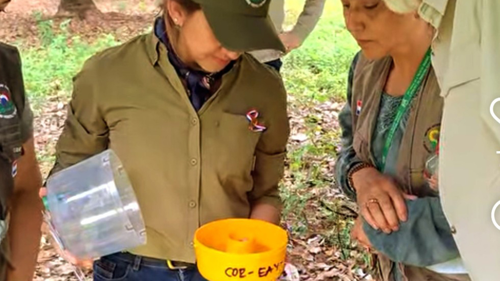 Técnicas del Senave manipulan una trampa de vigilancia de moscas de la fruta durante la cooperación con el Senasa, según la fotografía difundida por el organismo argentino el 29 de octubre de 2026.