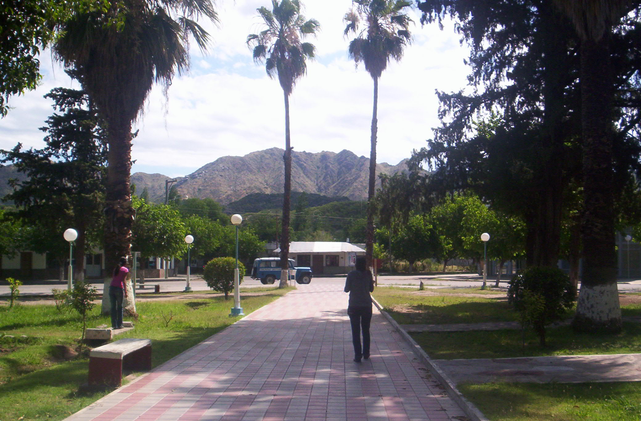 Archivo de 2008: sendero y palmeras de la plaza de San Agustín de Valle Fértil, lugar de encuentro anunciado para las actividades.