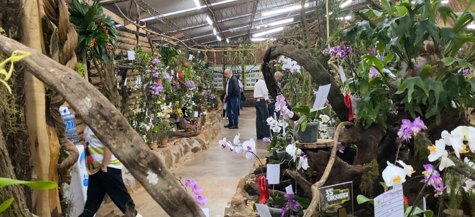 Exhibición de orquídeas y plantas en Montecarlo, Misiones, en una fotografía del balance del SENASA difundido el 16 de octubre de 2026.