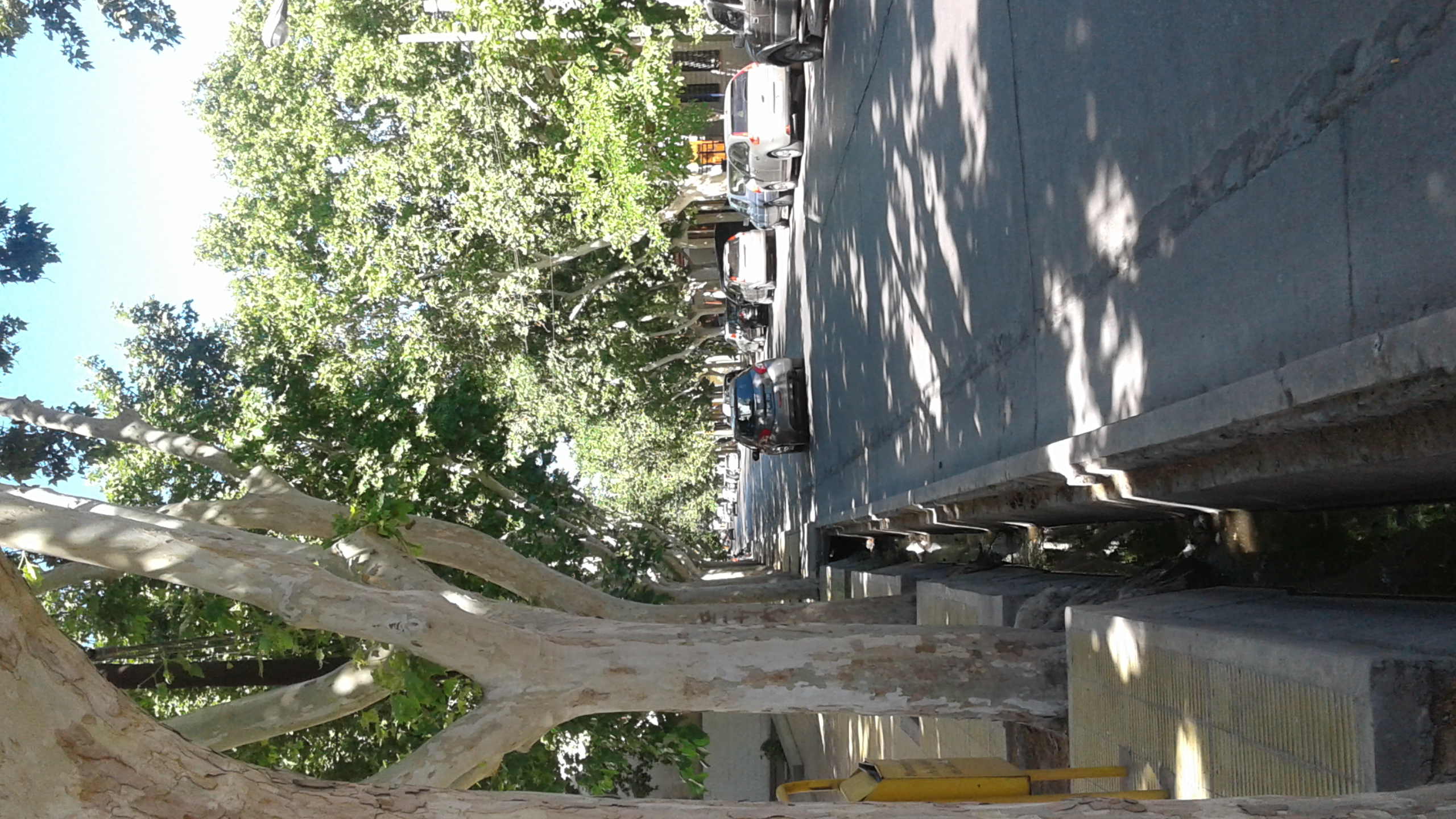 Fotografía de archivo de calle Mitre, en el área central de San Juan, tomada el 28 de octubre de 2016. No muestra los trabajos actuales ni calle Sarmiento.