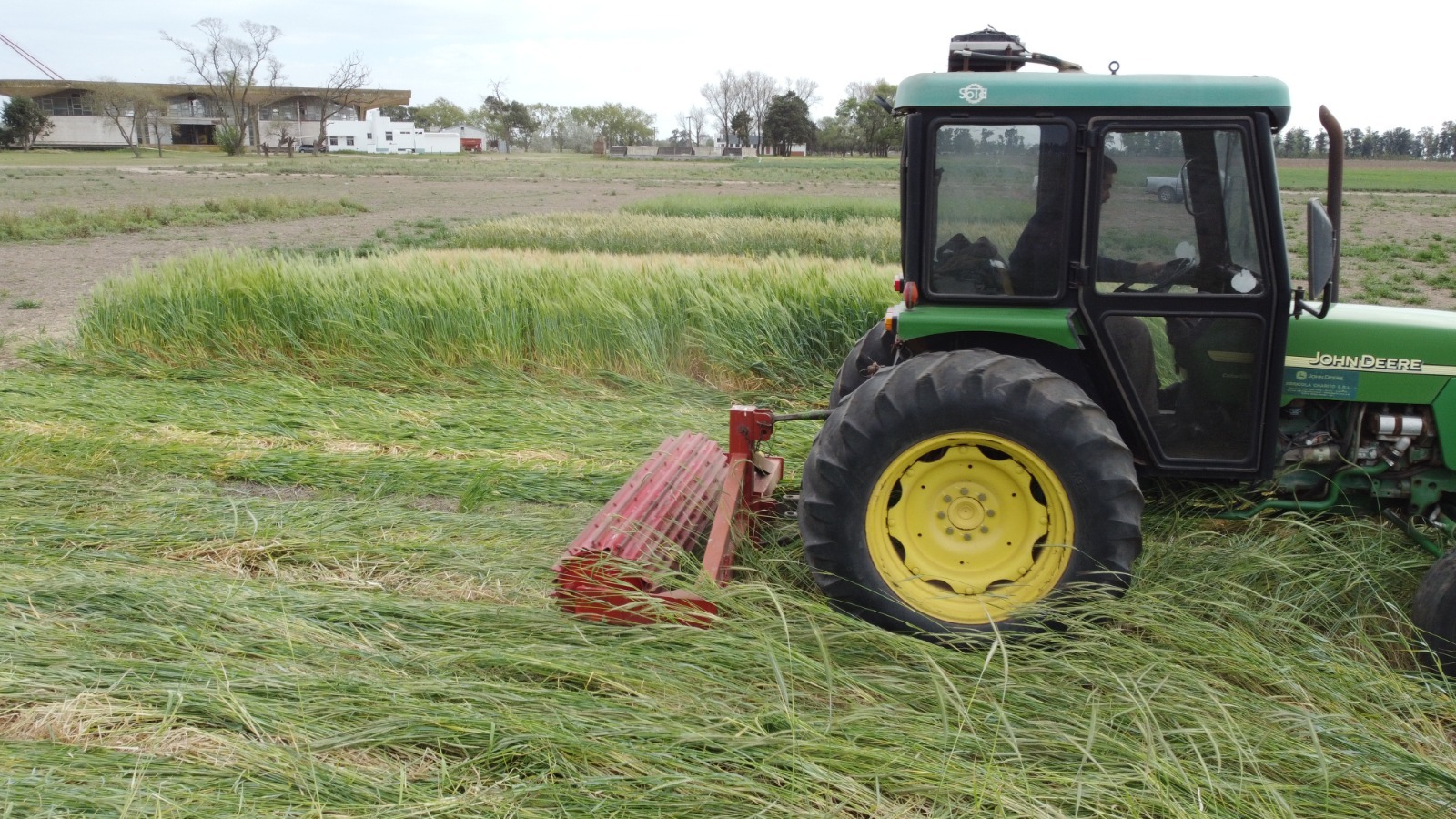 Tractor con rolo sobre un cultivo de cobertura, en la fotografía difundida por INTA junto a la investigación de Marcos Juárez.