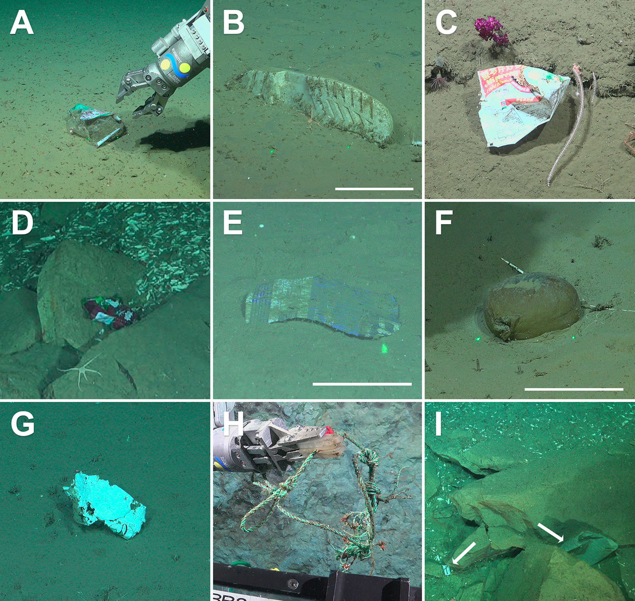 Nueve registros fotográficos del vehículo SuBastian muestran envoltorios, una bota, bolsas, un cordón y un vaso en el cañón submarino de Mar del Plata durante la expedición de 2025.