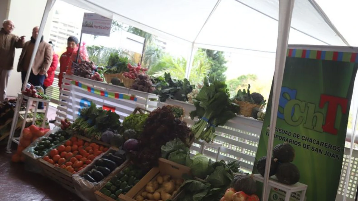 Puesto de frutas y verduras con cartel de la Sociedad de Chacareros Temporarios de San Juan. Imagen de archivo usada por Tiempo de San Juan; no muestra visitas universitarias ni la firma de un convenio.