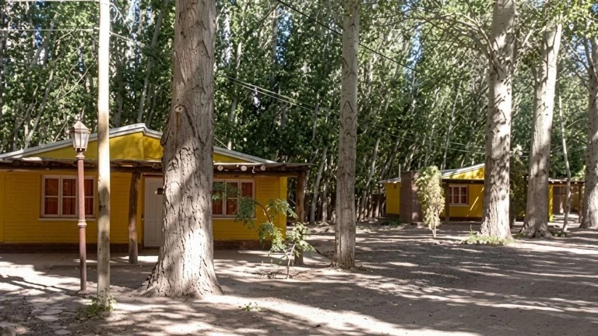 Cabañas amarillas entre árboles, en la fotografía publicada por Tiempo de San Juan junto a su informe sobre alojamiento en Iglesia.