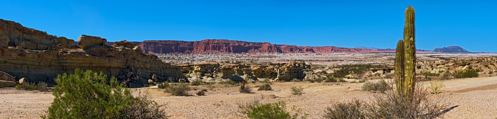 Vista panorámica de archivo del Parque Provincial Ischigualasto, con formaciones rocosas, vegetación y un cactus en primer plano.
