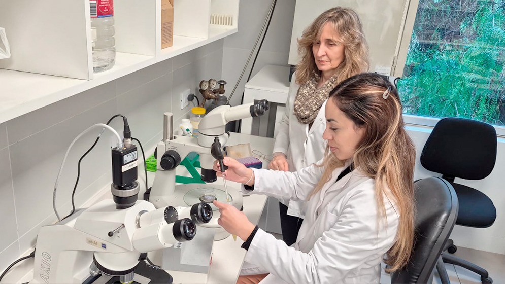 Dos integrantes del equipo del Laboratorio de Biología Reproductiva y Molecular del IHEM trabajan con equipamiento de laboratorio en una fotografía difundida por CONICET junto con el anuncio del 15 de octubre de 2026.