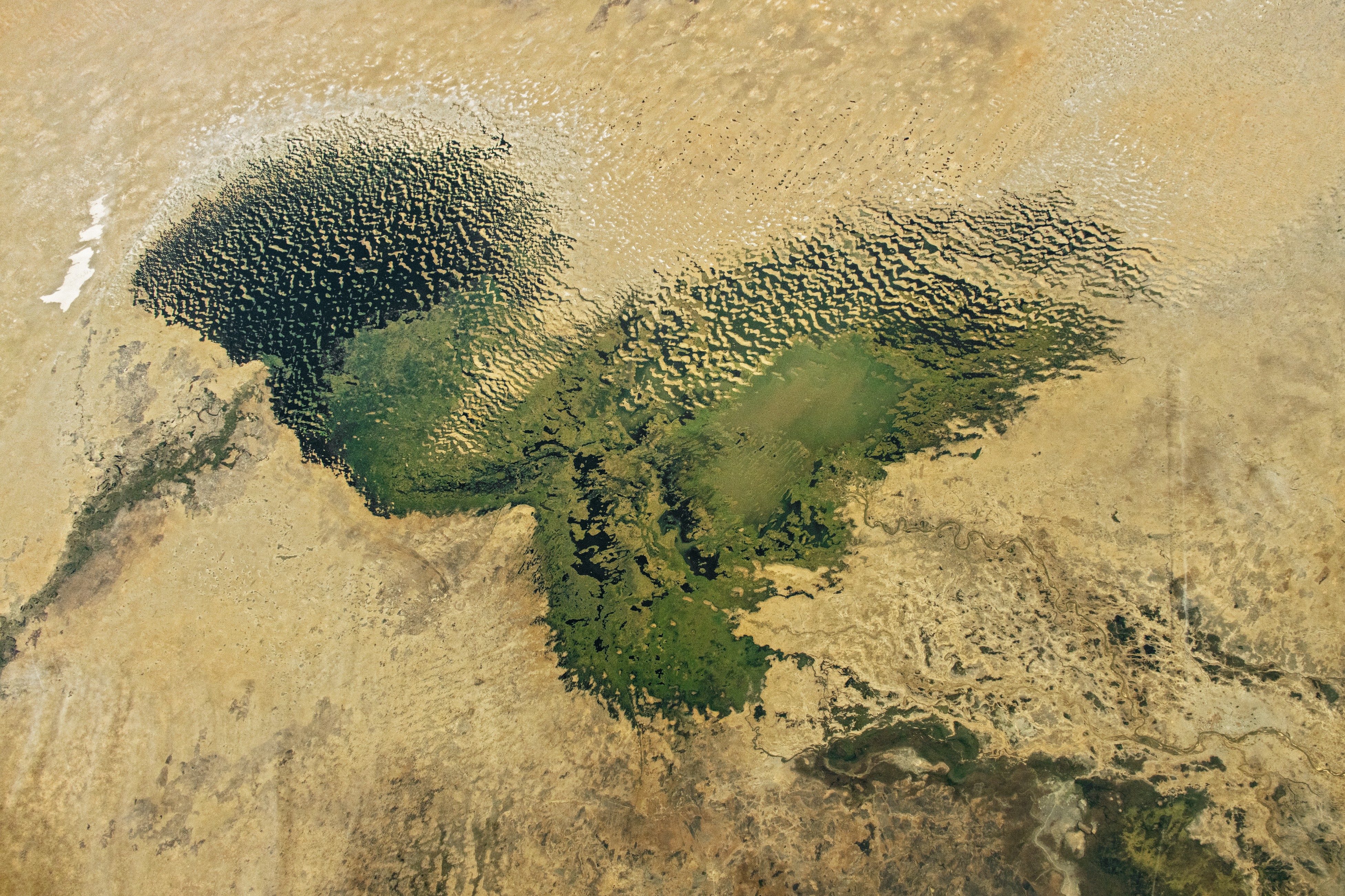 El lago Chad, sus humedales y dunas, fotografiados desde la Estación Espacial Internacional el 24 de enero de 2025. Archivo ISS072-E-571857; no corresponde al lanzamiento del proyecto de octubre de 2026.