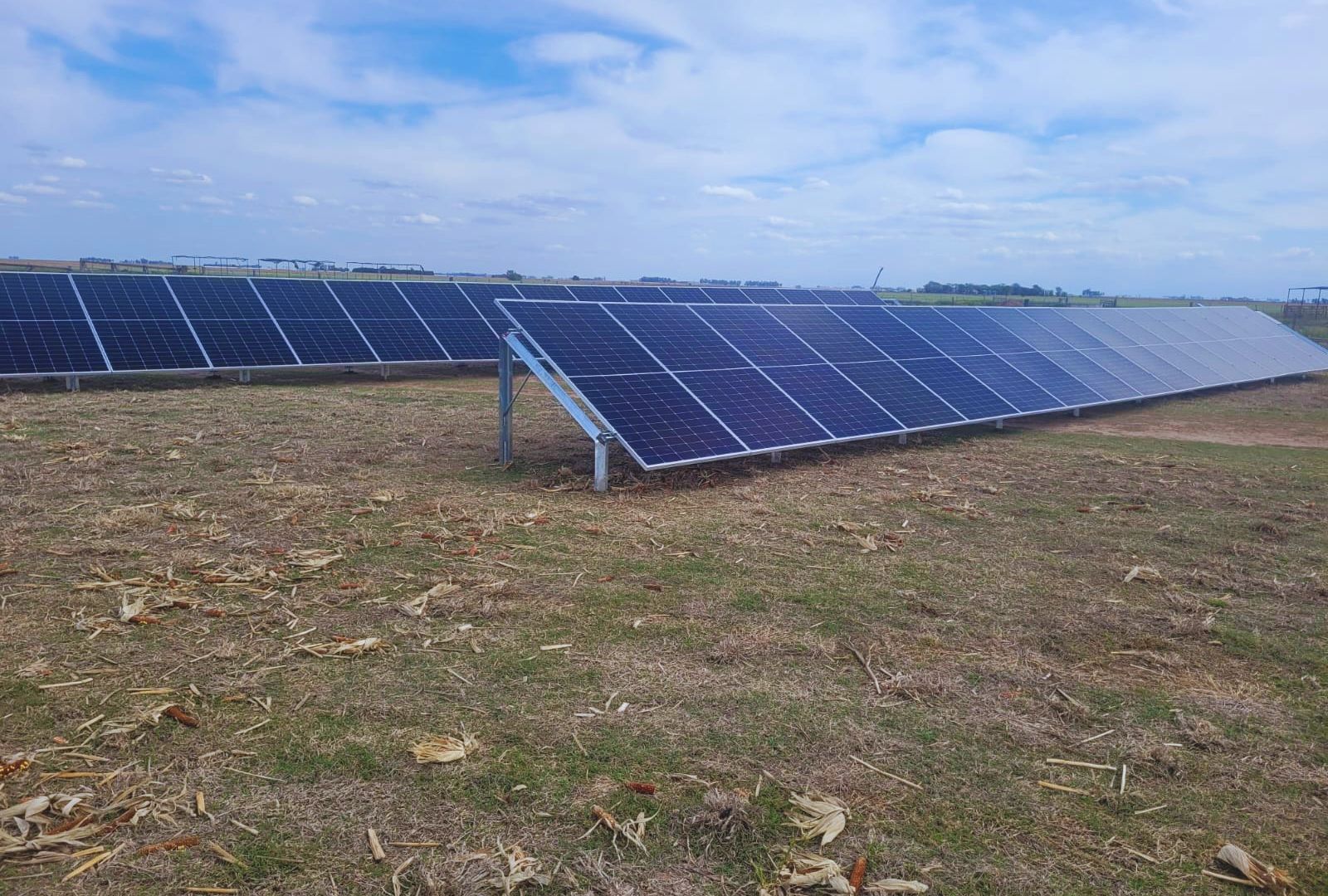 Paneles solares en un campo, en la fotografía que el INTA publicó junto a su investigación de riego en Manfredi.