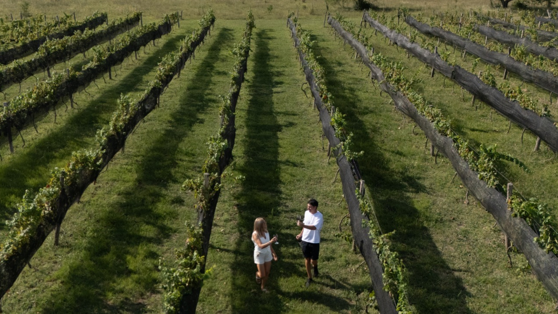 Viñedo y visitantes con copas en la imagen de contexto difundida por Turismo de la Nación para las Jornadas de Turismo del Vino de Paraná. La fuente no identifica establecimiento ni fecha de toma; no muestra el encuentro del 22 y 23 de octubre.