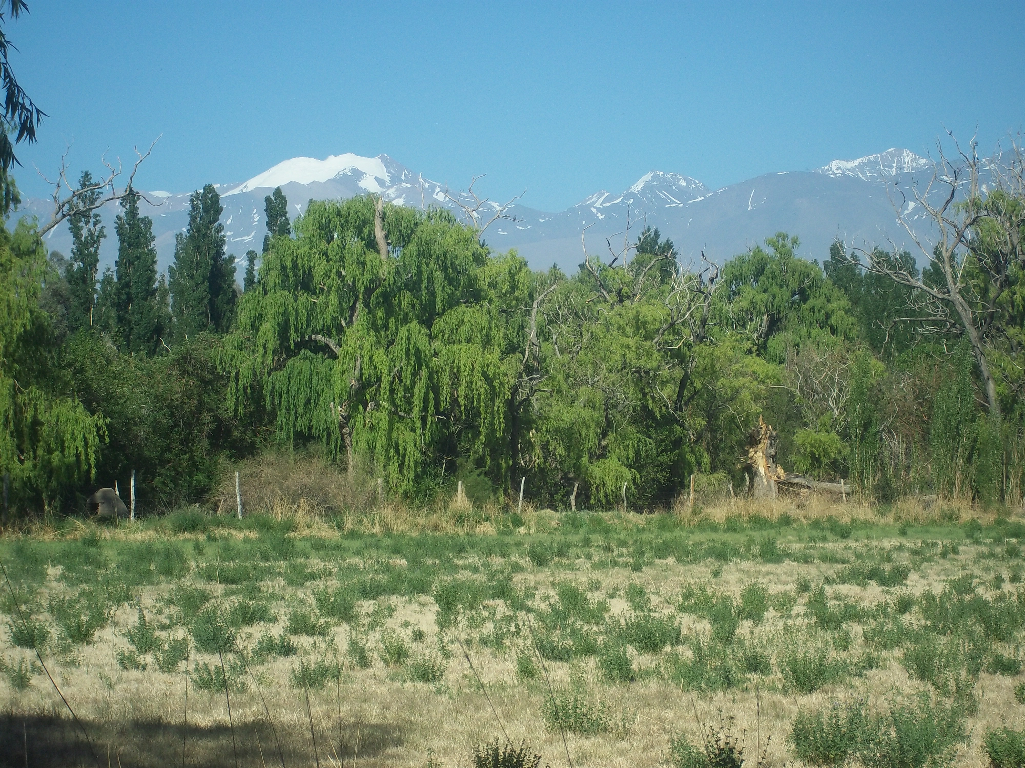 Paisaje agrícola y cordillerano de Barreal, Calingasta. Fotografía de archivo del 5 de noviembre de 2011; no muestra el sismo.
