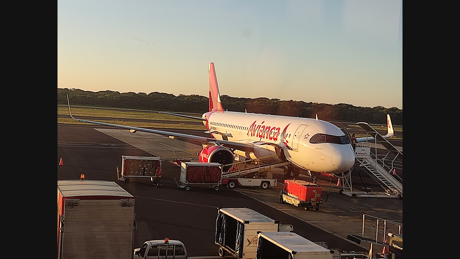 Avión Airbus A320neo de Avianca Costa Rica, matrícula N966AV, fotografiado en el aeropuerto de El Salvador el 10 de diciembre de 2023. Imagen de archivo; no corresponde al nuevo servicio anunciado.