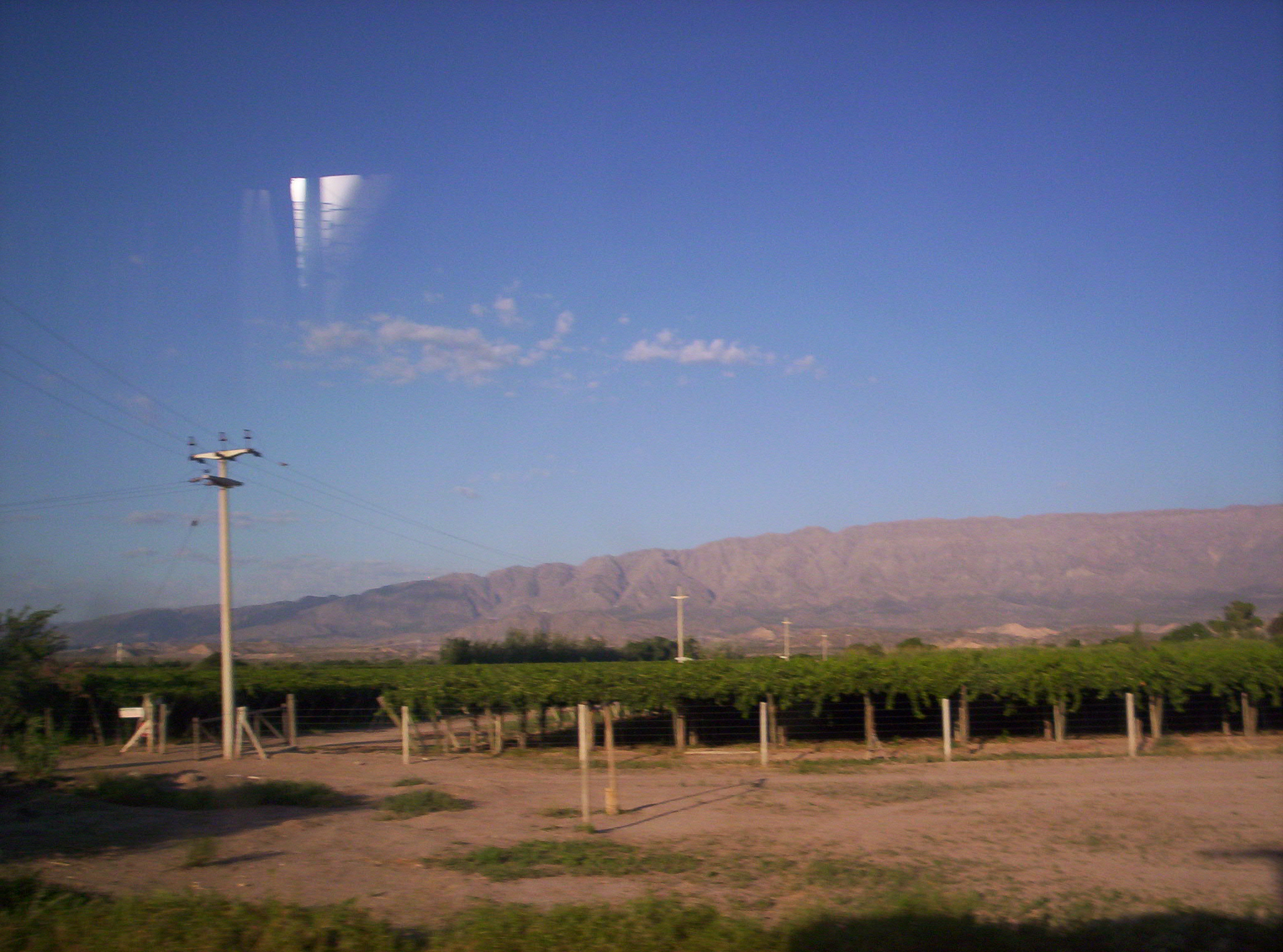 Viñedos de Pocito y Sierra de Zonda. Fotografía de archivo publicada en febrero de 2008; no muestra la capacitación de octubre de 2026 ni un diagnóstico sanitario actual.